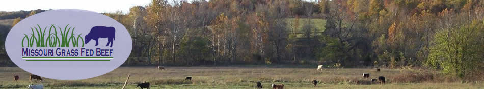 Missouri Grass Fed Beef